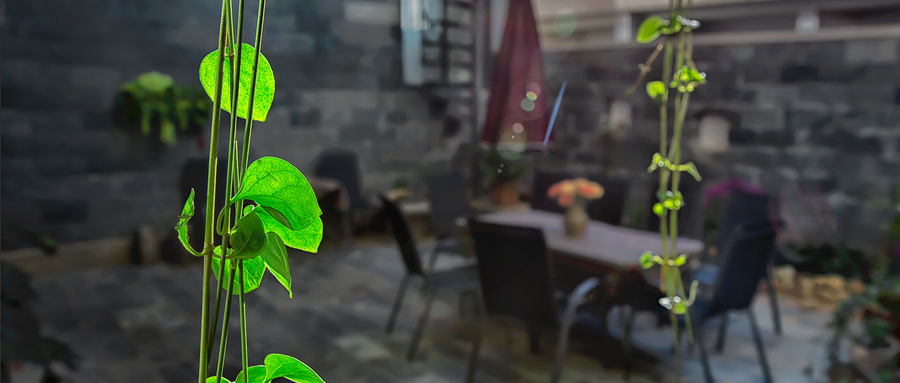 山西癲癇病治療哪里好